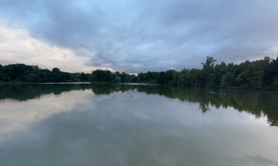 Présence de cyanobactéries