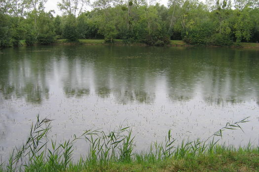 Fermeture des Etangs fédéraux d'Episy