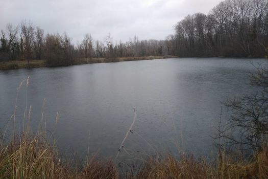 Ouverture des plans d'eau d'Episy et de la Bouleaunière