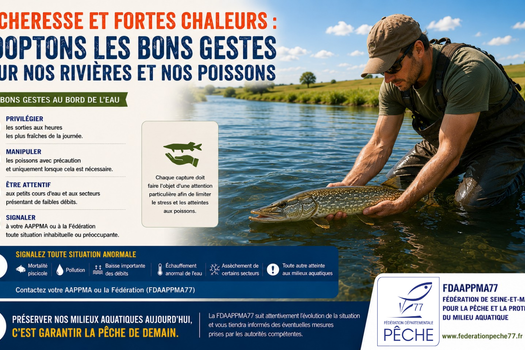 SÉCHERESSE ET FORTES CHALEURS : ADOPTONS LES BONS GESTES POUR NOS RIVIÈRES ET NOS POISSONS