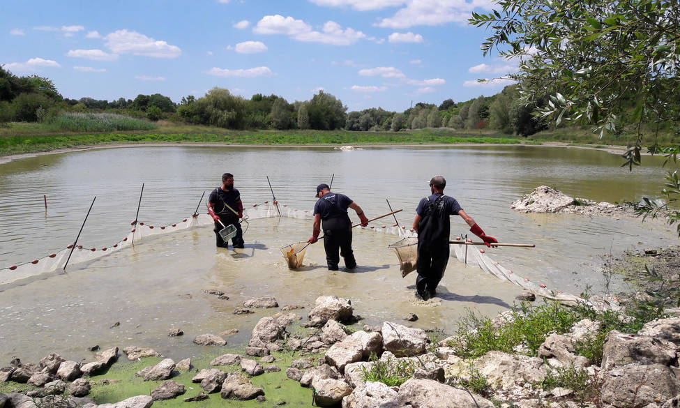 700 kg de poissons sauvés à l’étang du Pont Brossard