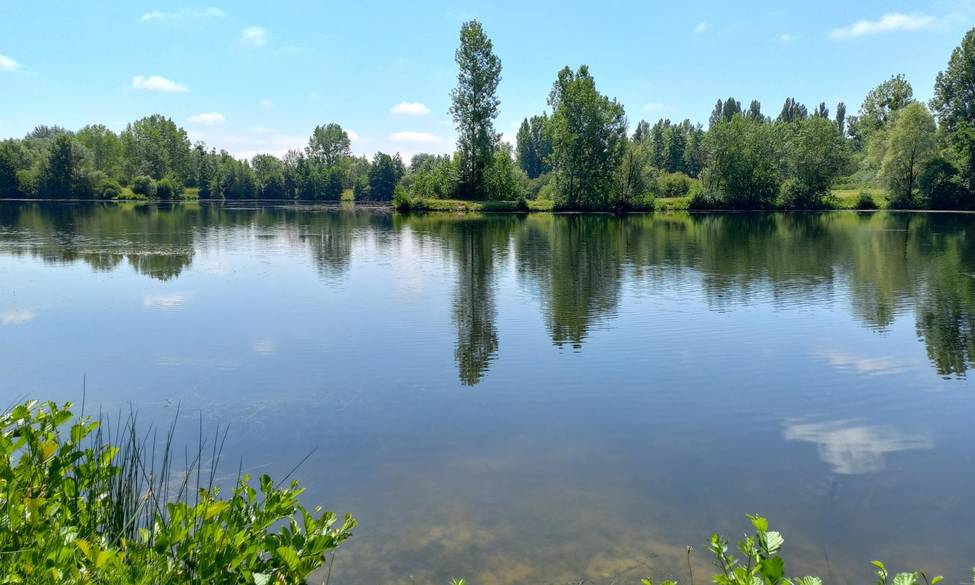 Etang Fédéral de Balloy