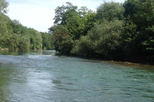 Renouvellement des baux de pêche sur le domaine public fluvial 