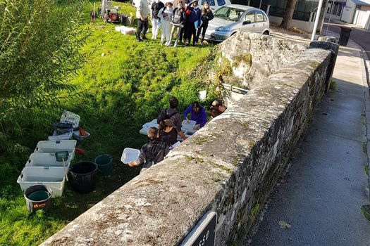 Animations scolaire avec un collège