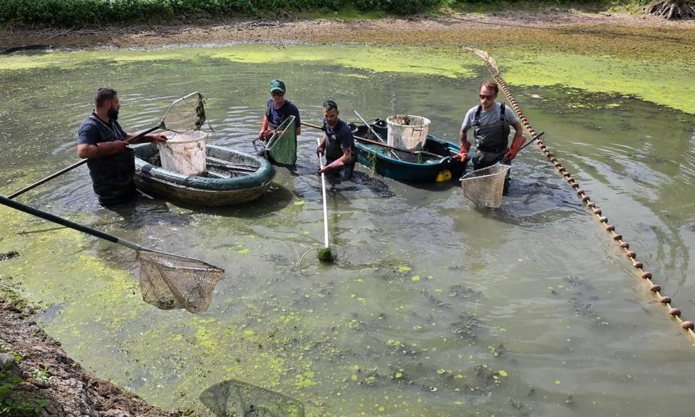 SÉCHERESSE : NOS RIVIÈRES SOUFFRENT, LES POISSONS AUSSI