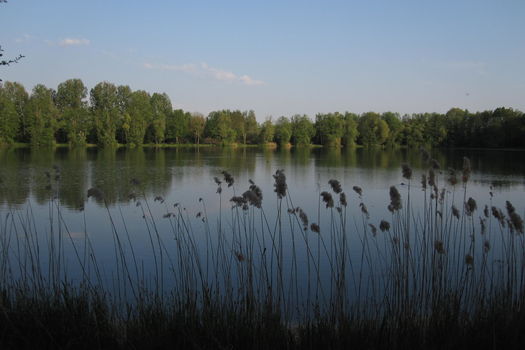 Étang fédéral de la Bouleaunière : accès temporairement fermé aux véhicules