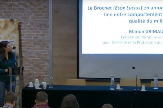 Rencontre Naturaliste ARB