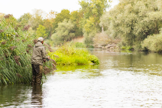 Résolution visant à interdire la pêche au vif !