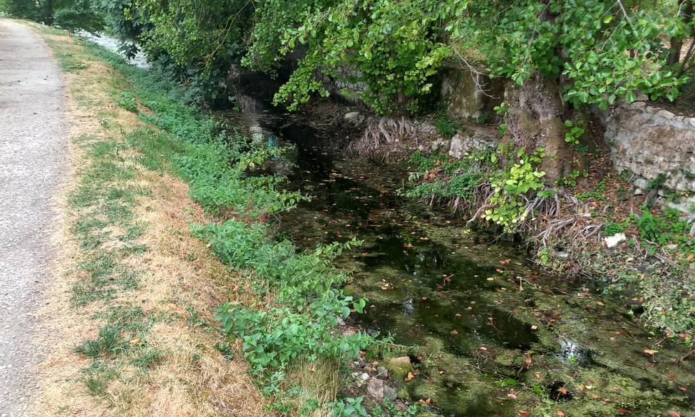Sécheresse : la Fédération témoigne de la situation de nos cours d’eau