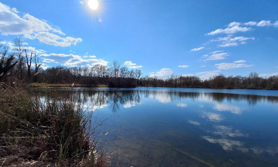 travaux d’abattage