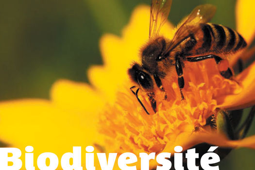 Forum biodiversité de Provins