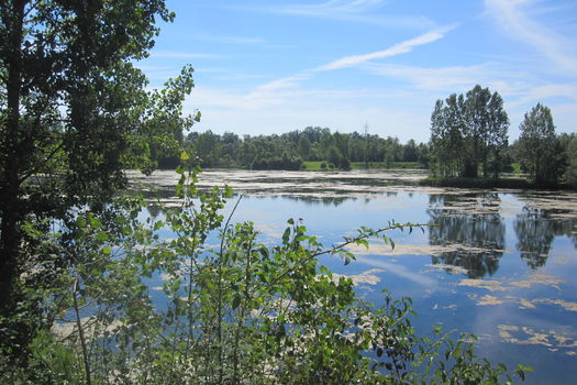 Travaux - Etang fédéral de Balloy