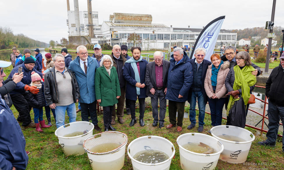 Rempoissonnement du canal du Loing – Une renaissance pour la nature !  