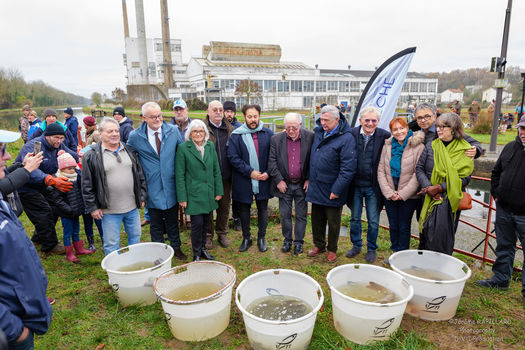 Rempoissonnement du canal du Loing – Une renaissance pour la nature !  