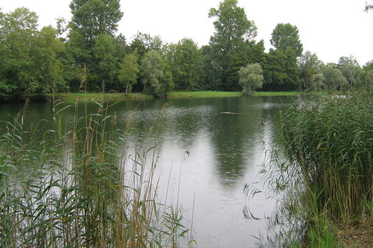 FERMETURE TEMPORAIRE D'UN ETANG FEDERAL D’ÉPISY – LA GENEVRAYE