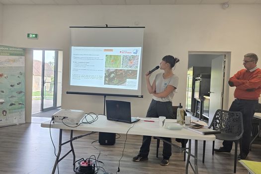 COMITÉ DE PILOTAGE NATURA 2000 – LA BASSÉE