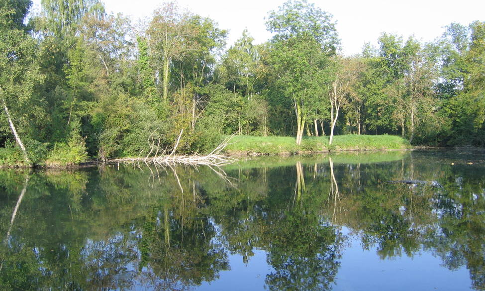 Fermeture temporaire de l'étang de Longueville