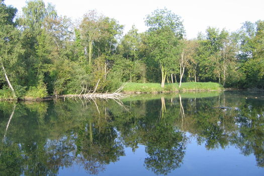 Fermeture temporaire de l'étang de Longueville