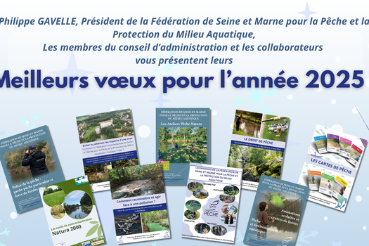 Voeux 2025