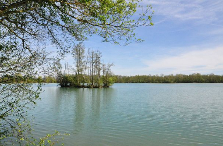 Comité Consultatif de Gestion de la Réserve Naturelle Régionale des