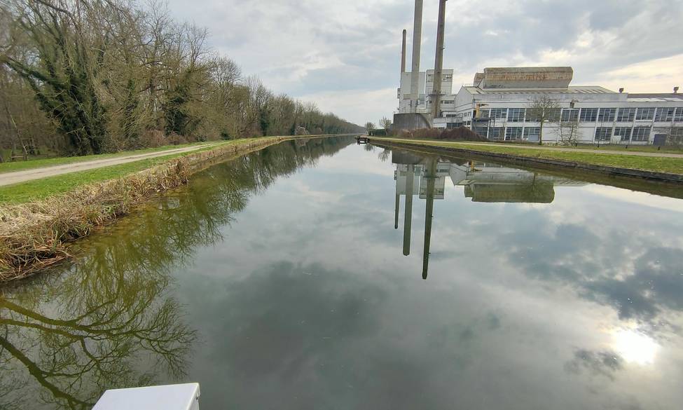 Un an après la pollution du canal du Loing : vers une opération de rempoissonnement