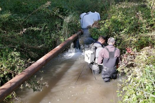 Pêche de sauvegarde avant travaux sur le bassin versant du Dragon.